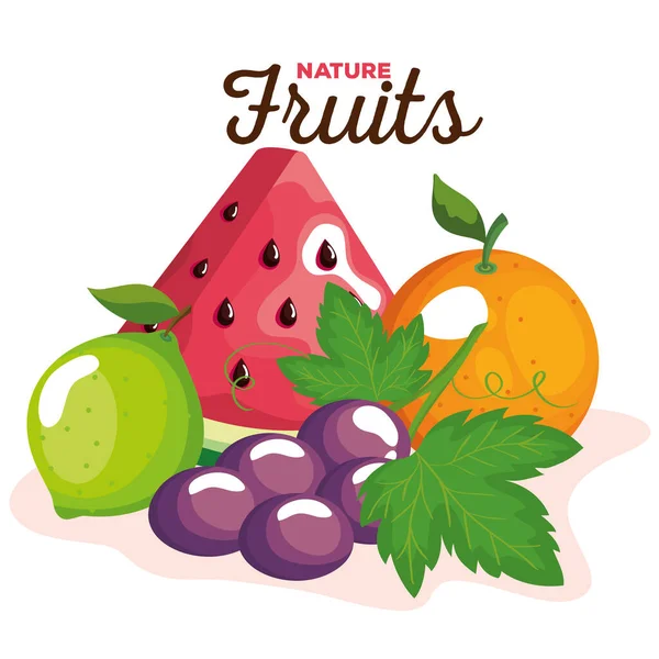 Nature fruits icon set vector design — Stock Vector