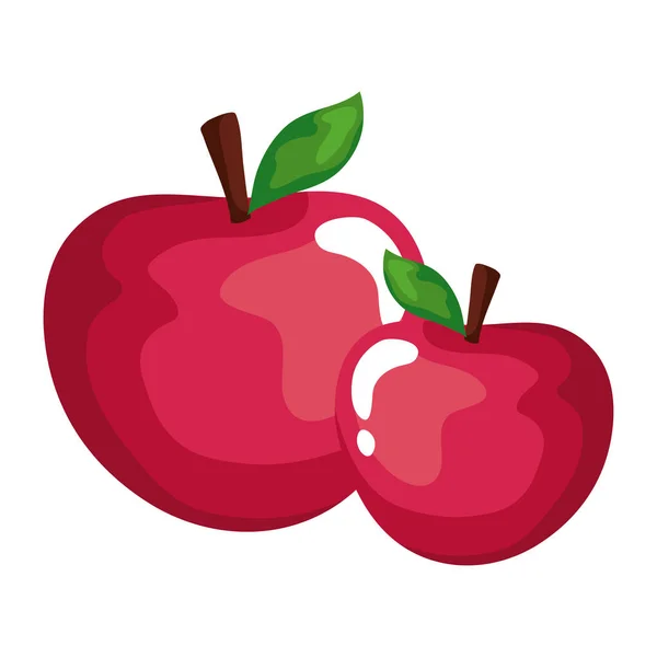 Apples fruit vector design — Stock Vector