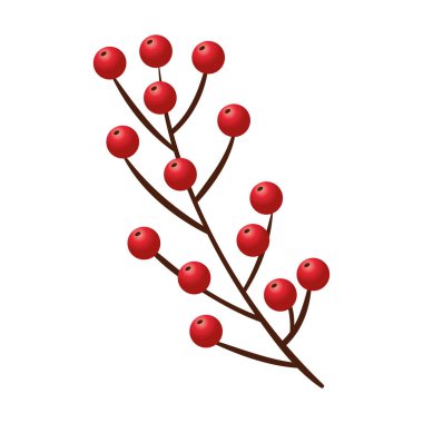 Noel şubesi ve tohumlar dekoratif simge