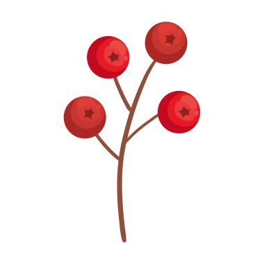 Sazlık tohumlu sonbahar dalıyla bitki doğası