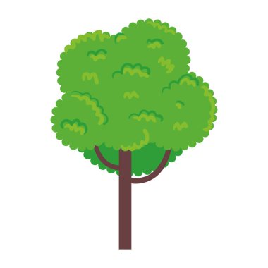 Ağaç bitkisi orman izole simgesi