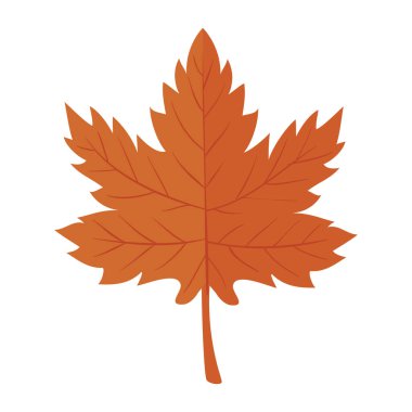 Sonbahar mevsimi akçaağaç yaprağı bitki ikonu