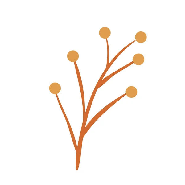 Őszi szezonban ág sárga magvak növényi természet — Stock Vector