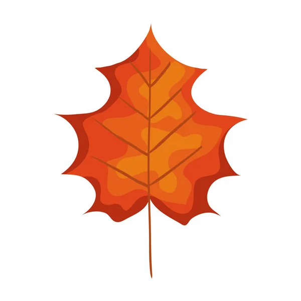 Automne saison orange feuille nature icône — Image vectorielle