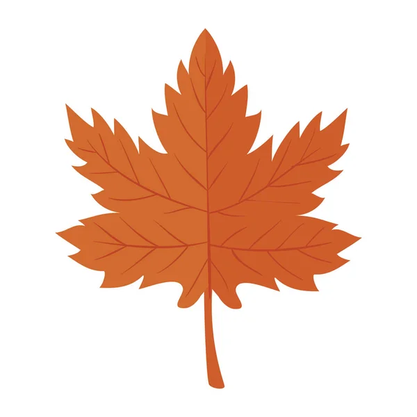 Осенний сезон икона природы из листьев клена — стоковый вектор