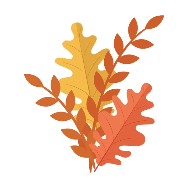 Podzimní období oranžové a žluté listy a větve rostlinná příroda — Stockový vektor