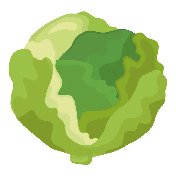 Friss zöld káposzta növényi egészséges élelmiszer ikon — Stock Vector