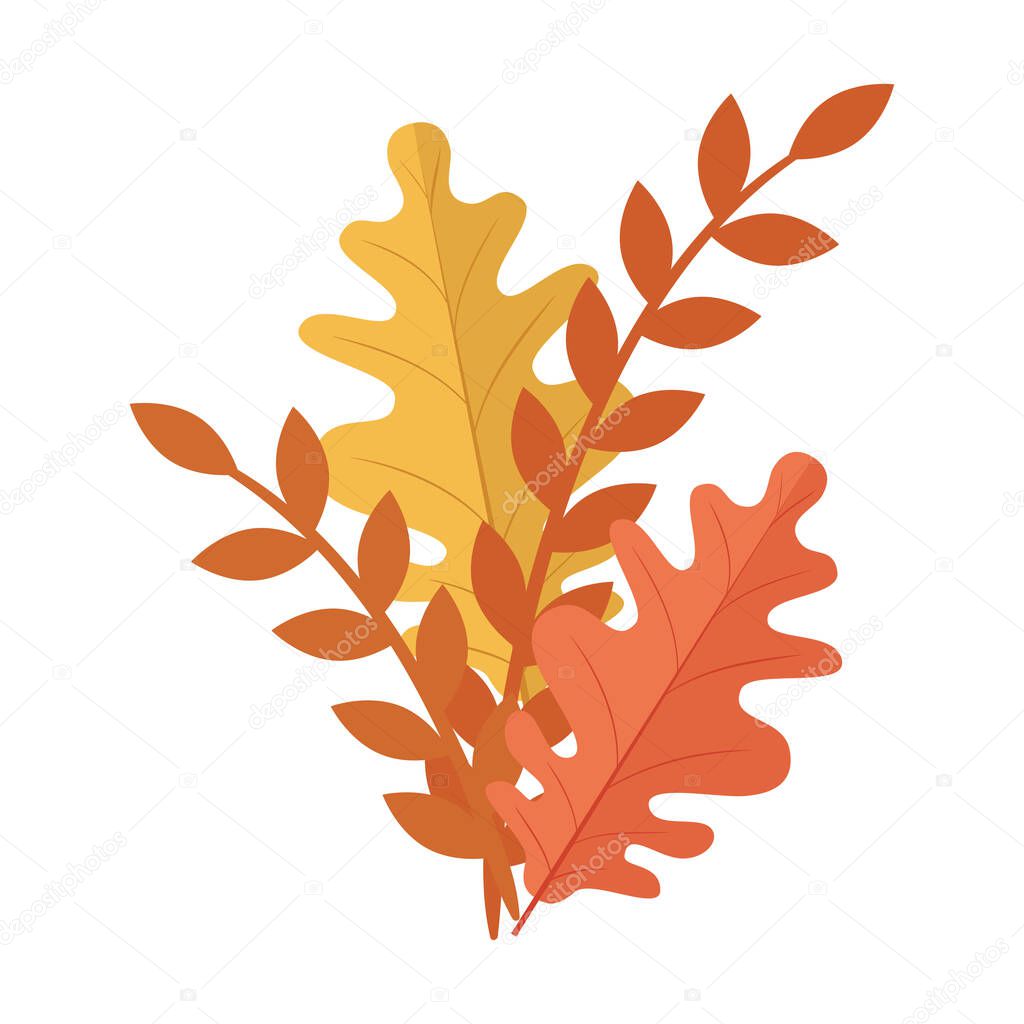 autumn season orange and yellow leafs and branches plant nature