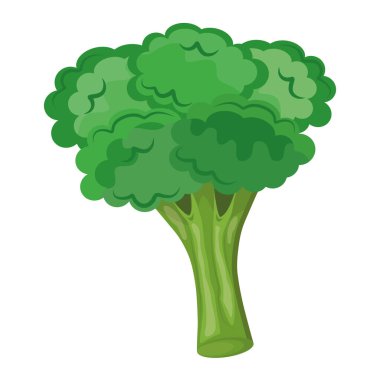 Taze sebzeli brokoli. Sağlıklı gıda ikonu.