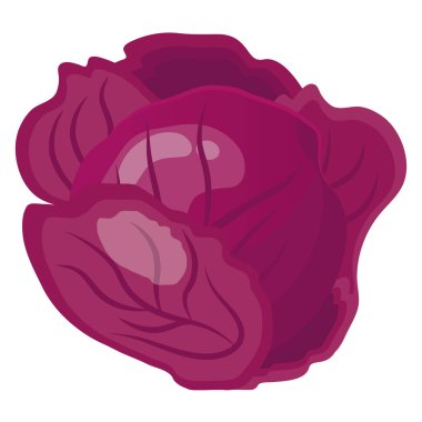 Taze sebze, mor lahana sağlıklı yiyecek ikonu