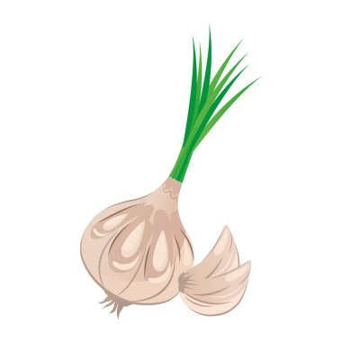 Taze sebze sarımsaklı sağlıklı yiyecek ikonu