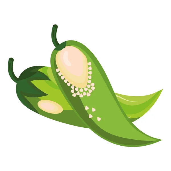 Verse groenten groene chili peper gezond voedsel pictogram — Stockvector