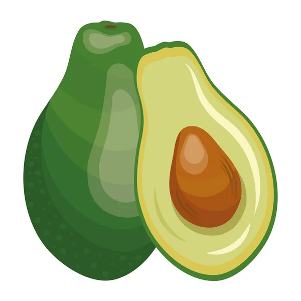 Verse avocado plantaardige gezonde voeding icoon — Stockvector