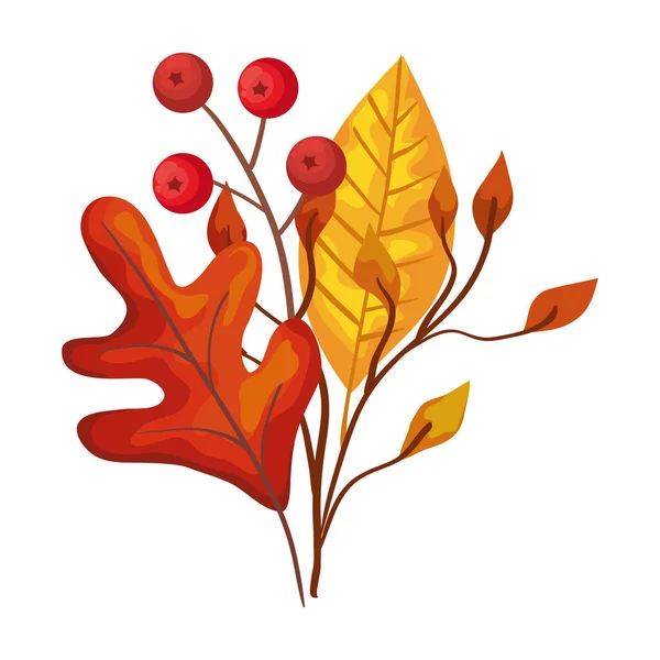 Otoño temporada ramas con hojas amarillas decoración de la naturaleza — Vector de stock