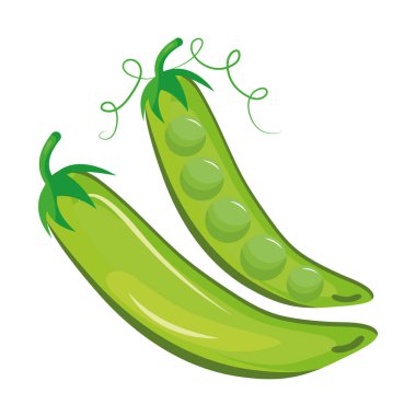 Taze fasulye sebzeler sağlıklı gıda ikonu