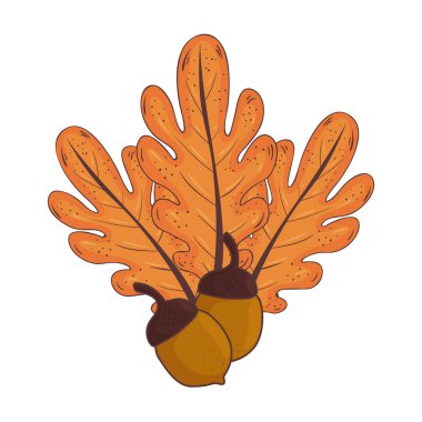 Sonbahar mevsimi yaprakları ve çekirdekler bitki doğası