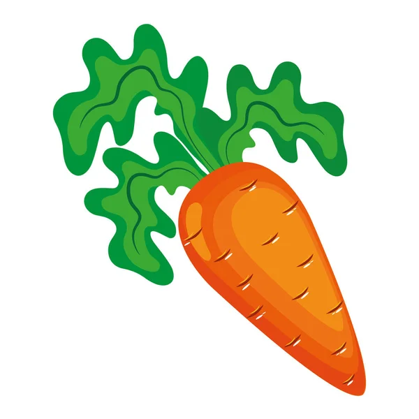 Carota fresca verdura sano cibo icona — Vettoriale Stock