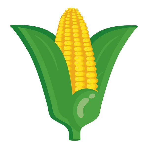 Fresh vegetable corn cob healthy food icon — Stock Vector