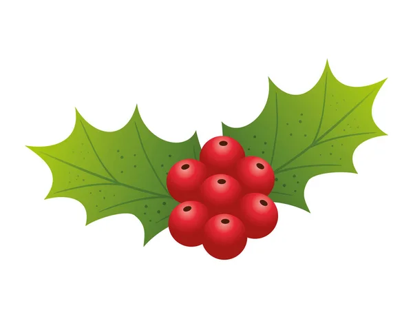 Karácsonyi levelek és magok dekoráció — Stock Vector
