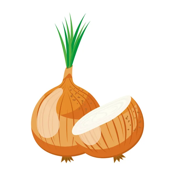 Cebolla vegetal fresca alimentos saludables icono — Archivo Imágenes Vectoriales
