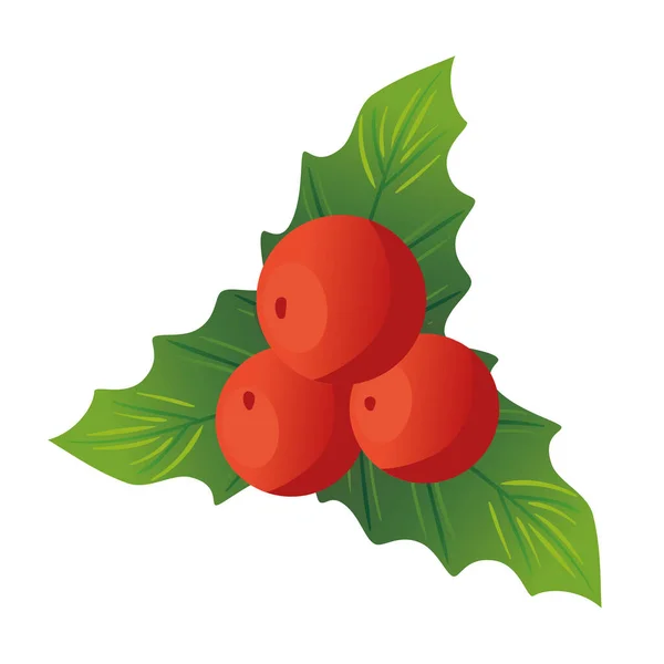 赤い果実のクリスマス飾りの葉 — ストックベクタ