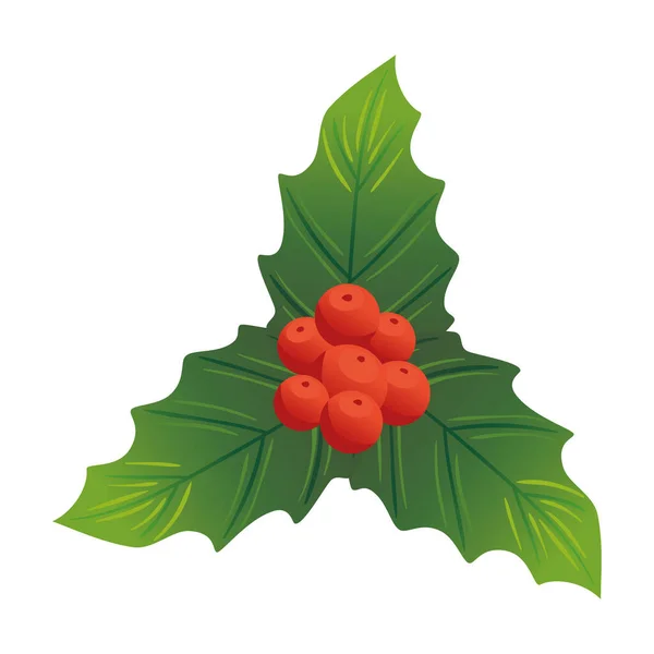 Hojas decorativas de Navidad con semillas rojas — Vector de stock