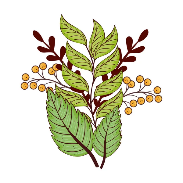 Otoño temporada hojas verdes y ramas naturaleza vegetal — Vector de stock