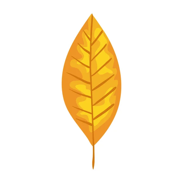 Otoño temporada amarillo hoja planta naturaleza icono — Archivo Imágenes Vectoriales