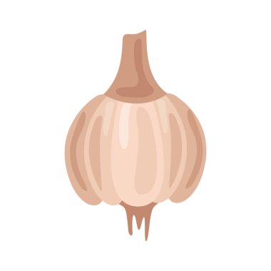 Taze sarımsaklı sebze sağlıklı yiyecek ikonu