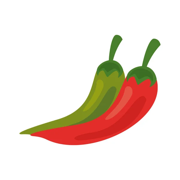 Chili peppers fresh vegetables healthy food icon — Stock Vector