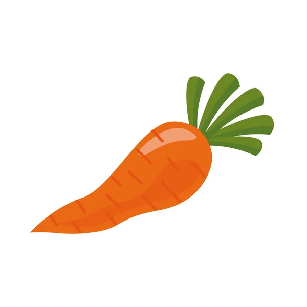 Fresh carrot vegetable healthy food icon — Stock Vector