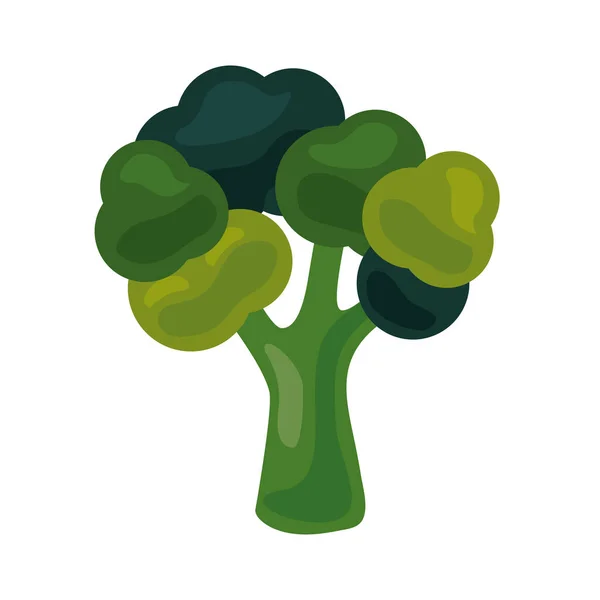 Brócoli fresco vegetal alimento saludable icono — Vector de stock