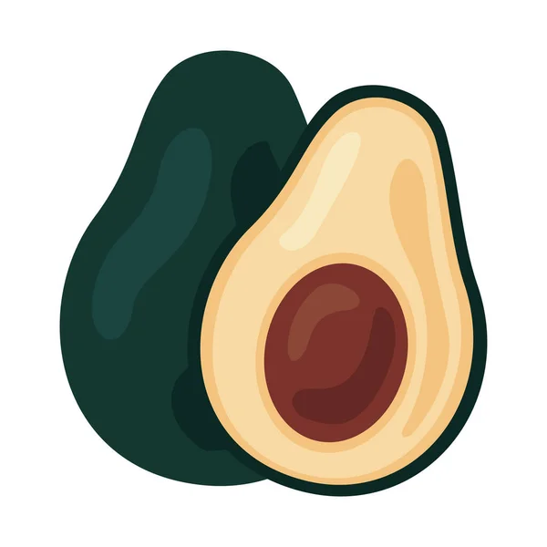 Avocados fresh vegetable healthy food icon — 스톡 벡터