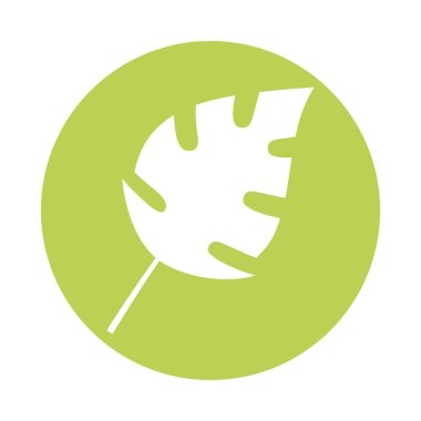 yarık yaprak bitkisi siluet biçimi simgesi