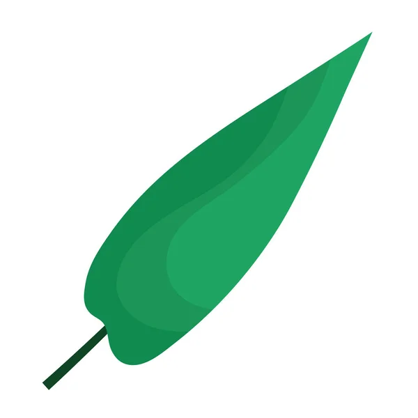 Podlouhlý list rostlina plochý styl — Stockový vektor