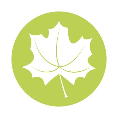 perdeli yaprak bitki siluet biçimi