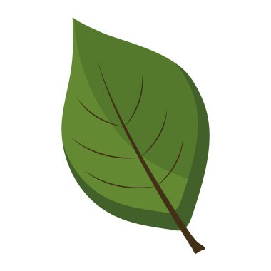 ovate form yaprak bitki düz stil