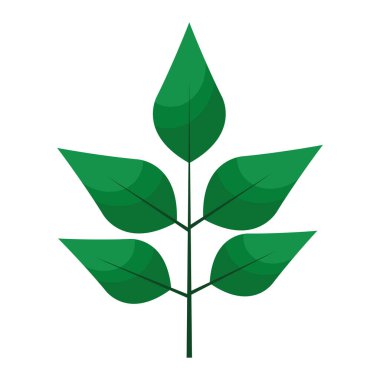 pinnate yaprak bitkisi düz biçim simgesi