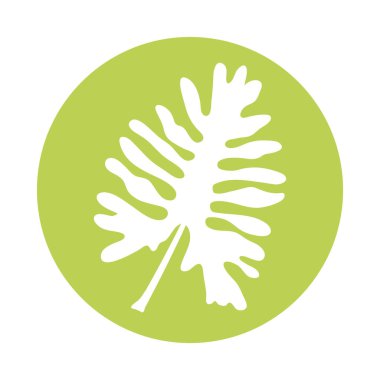 tropikal yaprak palmiye siluet biçimi simgesi