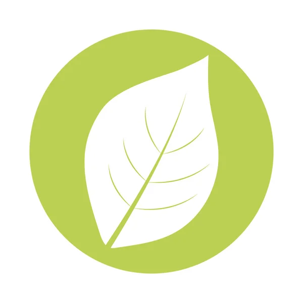 卵形の葉植物のシルエット — ストックベクタ