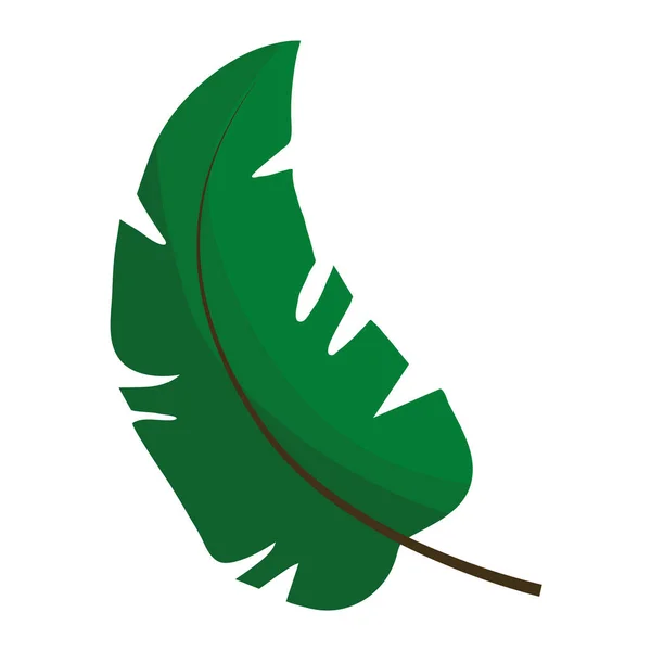 Листовое растение с иконой плоской формы пера — стоковый вектор