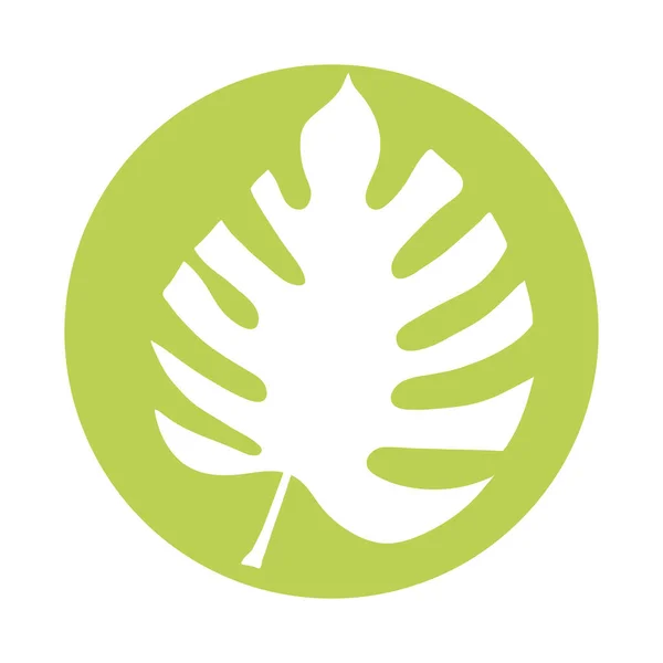 Тропический листовой силуэт пальмы — стоковый вектор