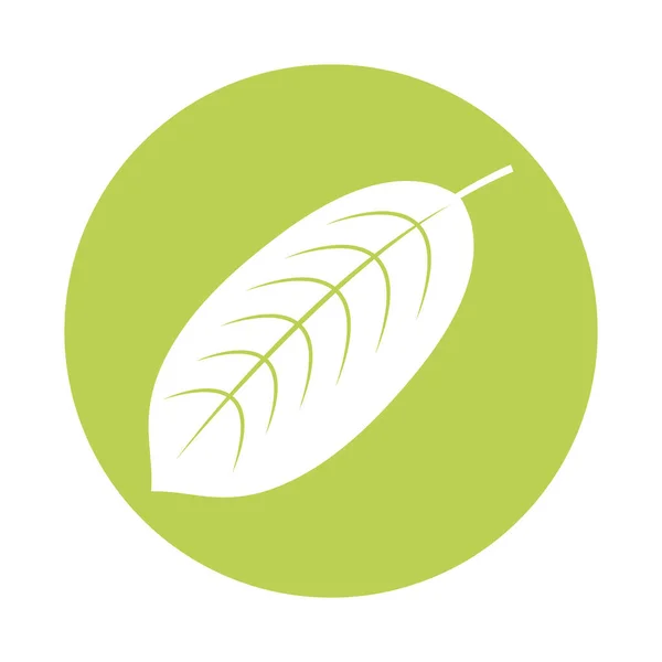 Árvore elíptica folha silhueta estilo ícone —  Vetores de Stock