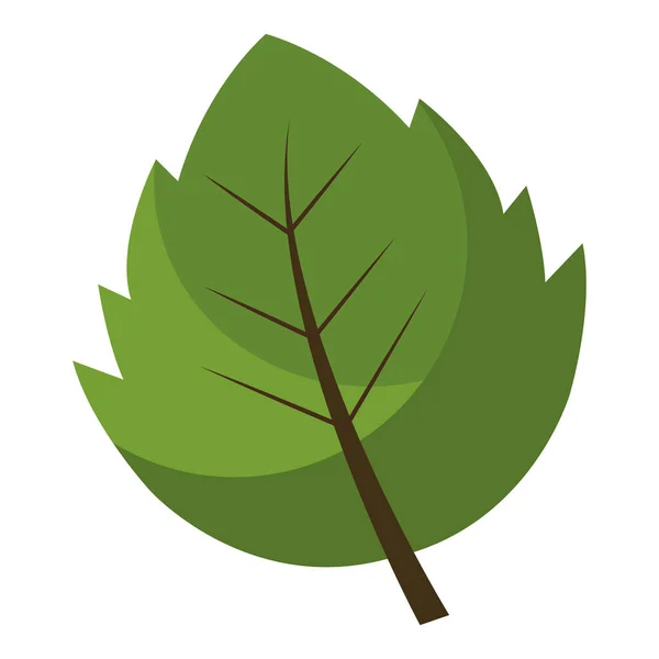 Planta de hoja aserrada estilo plano — Vector de stock