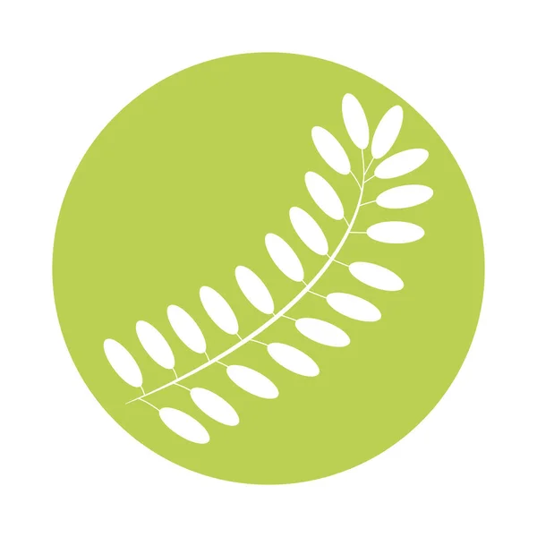 Icona di silhouette in stile vegetale a foglie pennate — Vettoriale Stock