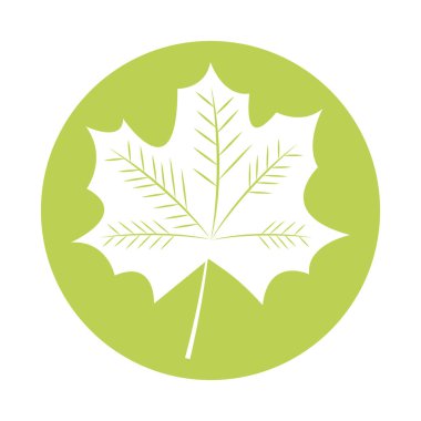 perdeli yaprak bitkisi siluet biçimi