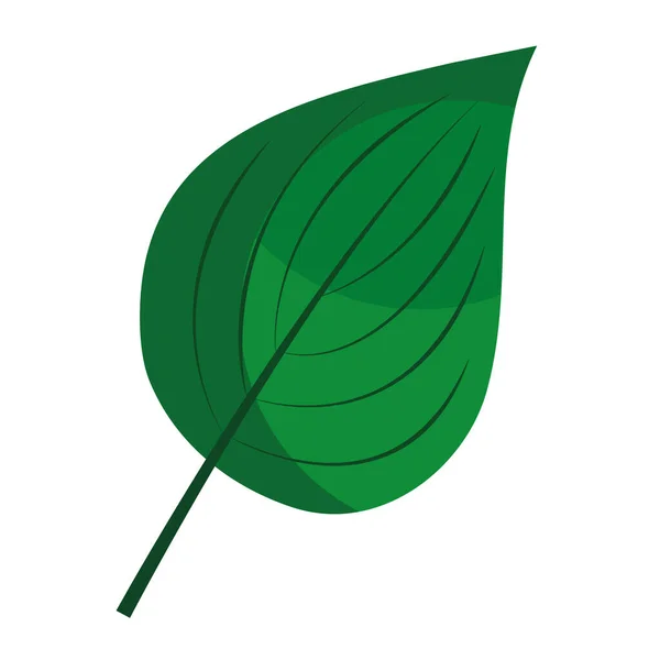 Ovate forme feuille plante plat style icône — Image vectorielle