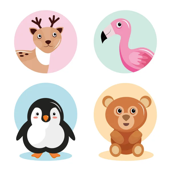 Csomag négy állat kawaii karakterek — Stock Vector