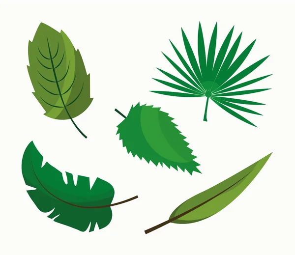 Paquet de douze feuilles plantes icônes de style plat — Image vectorielle