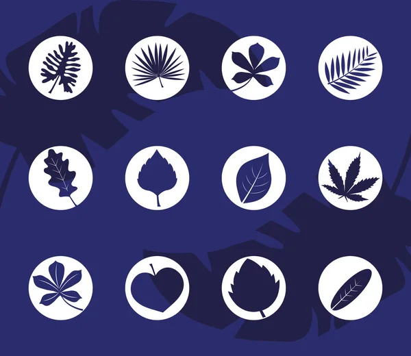 Fascio di dodici foglie piante silhouette icone di stile — Vettoriale Stock